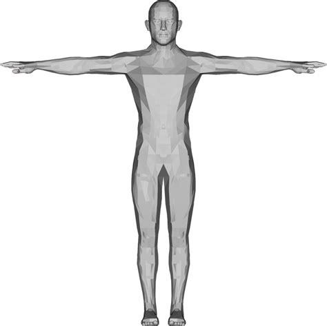 What are the 5 rules for good body alignment?