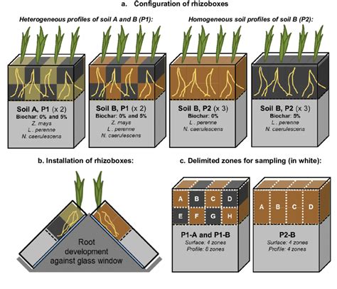 What is soil heterogeneous?