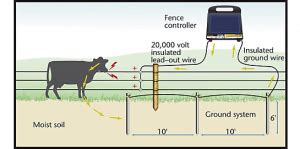 How do you test an electric fence ground?