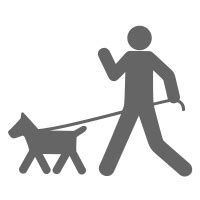 How long should you walk a dog?