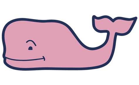 What is the age demographic for Vineyard Vines?