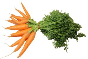 Why would you consider interplanting radishes with carrots?