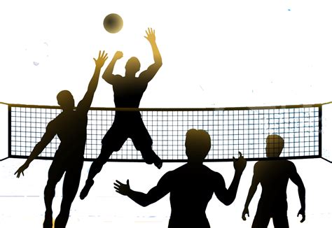 Why volleyball is a good sport essay?