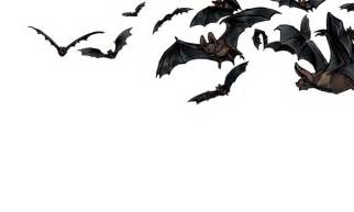 What does it mean if a bat can't fly?