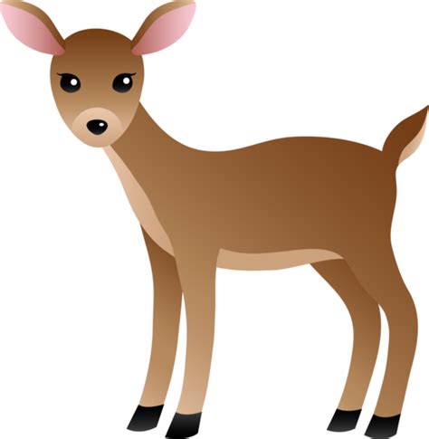 How do you know if a fawn needs help?