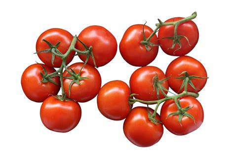 What is the most profitable tomato to grow?